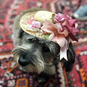 Meet your Posher, Vanessa